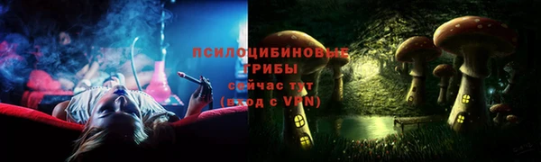 ГАЛЛЮЦИНОГЕННЫЕ ГРИБЫ Горно-Алтайск