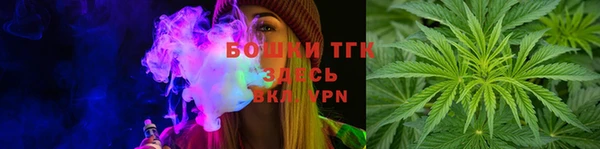 ГАЛЛЮЦИНОГЕННЫЕ ГРИБЫ Горно-Алтайск
