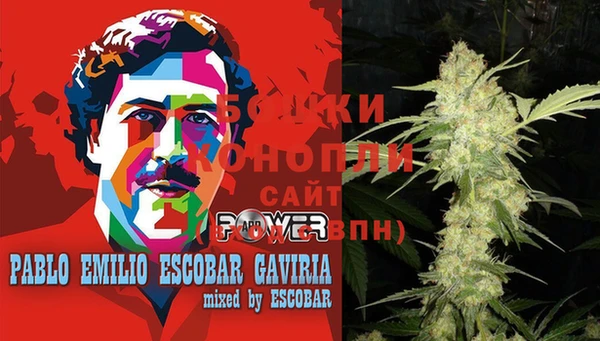 ГАЛЛЮЦИНОГЕННЫЕ ГРИБЫ Горно-Алтайск